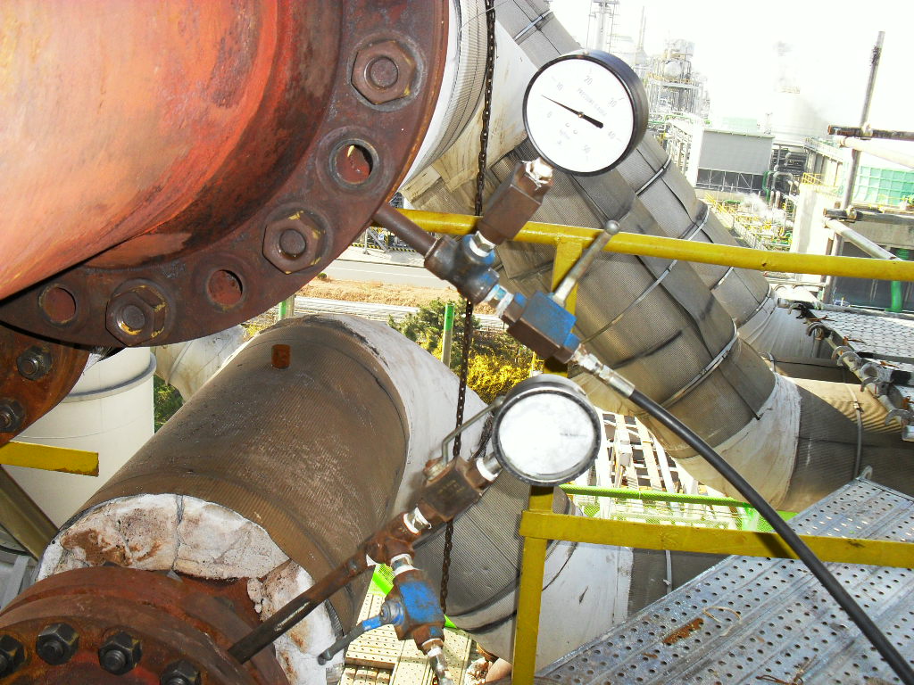 Inspection and hydrostatic testing for plant equipment